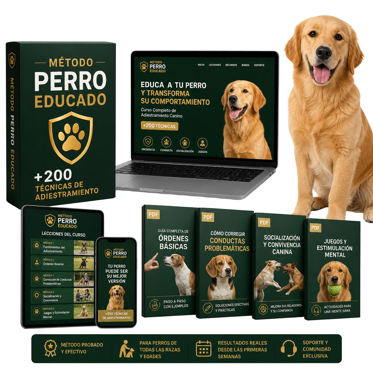 Método Perro Educado: caja digital, guías en PDF, tablet, celular y notebook con clases de adiestramiento